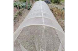 China Lightweight And Breathable Garden Netting Easy To Install For Vegetable Beds supplier
