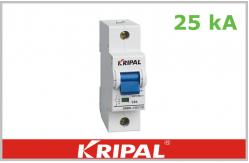 China 25KA MCB 240V Circuit Breaker 1 Pole with High Breaking Capacity supplier