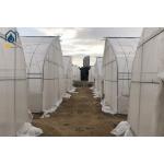 Agriculture Tunnel Greenhouse Galvanized Steel Frame Single Span Greenhouse for sale