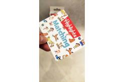 China Custom Printed Early Learning Flash Cards Brighter Child CMYK Printing supplier