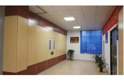 China Fabric Finish Space Saving Movable Acoustic Partition Wall For Conference Room supplier