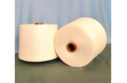 China Customized 100% Virgin Or Recycled Polyester FDY Yarn Cartepillar Flat Round supplier