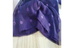China 30dx30d 39gsm Polyester Spandex Chiffon Fabric Embroidery Crinkle Chiffon Polyester supplier