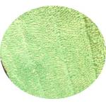 Green twisted 13*47 fold stitch microfiber wet cleaning mop pads head for sale