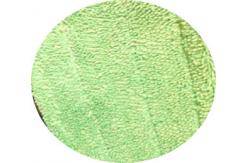 China Green twisted 13*47 fold stitch microfiber wet cleaning mop pads head supplier