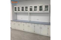 China Practical Chemistry Lab Furniture Multi Function Alkali Resistant supplier