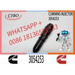 Excavator 3054218 3054253 3032392 4914308 4914325 Engine Common Rail Fuel Injector