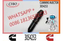China Excavator 3054218 3054253 3032392 4914308 4914325 Engine Common Rail Fuel Injector supplier