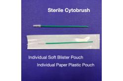 China 6 Length Gynecological Brush Endocervical Sampler supplier