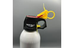 China Versatile Fire Extinguisher Valve Accessories for Industrial Use - Reliable and Efficient supplier