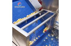 China Large-scale fruit and vegetable washing,drying and cutting production line supplier