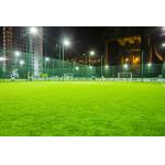 14000 Dtex Artificial Tile Floor Grass Roll Environmental Friendly for sale