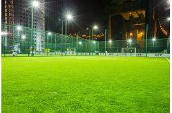 China 14000 Dtex Artificial Tile Floor Grass Roll Environmental Friendly supplier