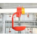 Drinking System Fully Automatic Poultry Drinker , Broiler Chicken Drinker Customized
