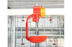 China Drinking System Fully Automatic Poultry Drinker , Broiler Chicken Drinker Customized supplier