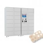 Winnsen Refrigerated Locker Smart Food Eggs Vandal Proof for sale