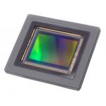 2521C002 for sale