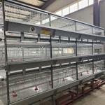 3-6mm Wire Battery Broiler Equipment SGS H Type Poultry Farm Cage for sale