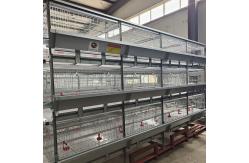 China 60-144 Broiler Poultry Equipment , ISO9001 Wire Bird Breeding Cages supplier