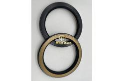 China TCN High Pressure Skeleton Oil Seal AP4282G supplier