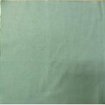 160GSM Cotton Oxford Cloth Fabric Natural Drape And Touch Soft Light Green for sale