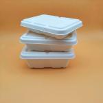 100 Percent Compostable Sugarcane Bagasse Box Clamshell Food Container With Lids