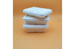 China 100 Percent Compostable Sugarcane Bagasse Box Clamshell Food Container With Lids supplier