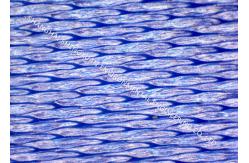 China High Performance 100% Polyester Mesh Belt supplier