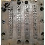 Multi Cavity Stainless Steel Mold For Extrusion Polyamide Extruder Machine