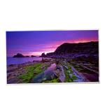 M238HCJ-L3N LCD Screen Display Panel Symmetry AAS Normally Black Transmissive for sale