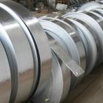 JIS G3302 Galvanized Cold Rolled Steel Strip Steel Strip Roll PPGI DX51D Z250 Wu Steel for sale