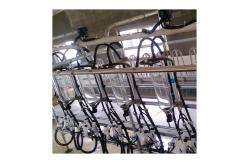 China Parallel Lines 20T/H Herringbone Milking Parlor Automatic Milk Machine supplier