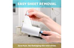 China Removable White Plastic Lint Clothes Hair Remover Roller For Cat Fur supplier