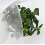 50 Mesh Insect Proof Netting For Fruit And Vegetables Protections