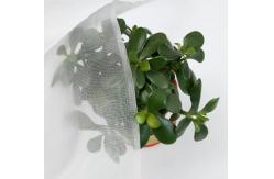 China 50 Mesh Insect Proof Netting For Fruit And Vegetables Protections supplier