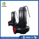 Large Flow Double Suction Sewer Pump , Industrial Sewage Pump 1 Hp for sale