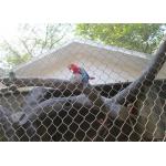 304/316 SS Aviary Wire Netting Ferruled / Knotted Rope Mesh SGS Listed for sale