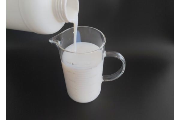 Weather Resistance Industrial Paint White Matt Emulsion Mild Odor