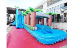 China ODM Outdoor Inflatable Water Slides Giant Long Palm Tree Bounce House supplier