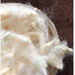 Premium Soy Bean Fiber with Mild Flavor and High Protein Content for sale