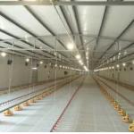 Customizable Automatic Pan Feeding System 1kg-10Kg/Min Feeding Speed for sale