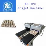 Automatic Egg Inkjet Batch Coding Machine To Enhance The Product Image