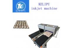 China Automatic Egg Inkjet Batch Coding Machine To Enhance The Product Image supplier