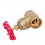 2 Inch 4 Inch Water Gate Valve Directional Control NPT / BSP Thread