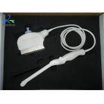 GE E8CS Endocavity Ultrasound Probe/Logiq 7/Logiq 9/Logiq P3/P5/Sickroom