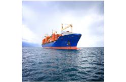 China International Sea Freight Forwarding DDP From China To India supplier