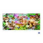 Wall Art 3D Lenticular Picture Flip Cute Cats And Dolphins With 12X17 Inches for sale