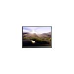 6.4 inch F064A06-6T1 720*1544 LCD Screen Panel for sale