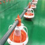 Automatic Feeding System For Poultry Chicken Feeding Line 10 Liters Capacity for sale