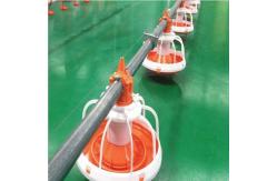 China Automatic Feeding System For Poultry Chicken Feeding Line 10 Liters Capacity supplier